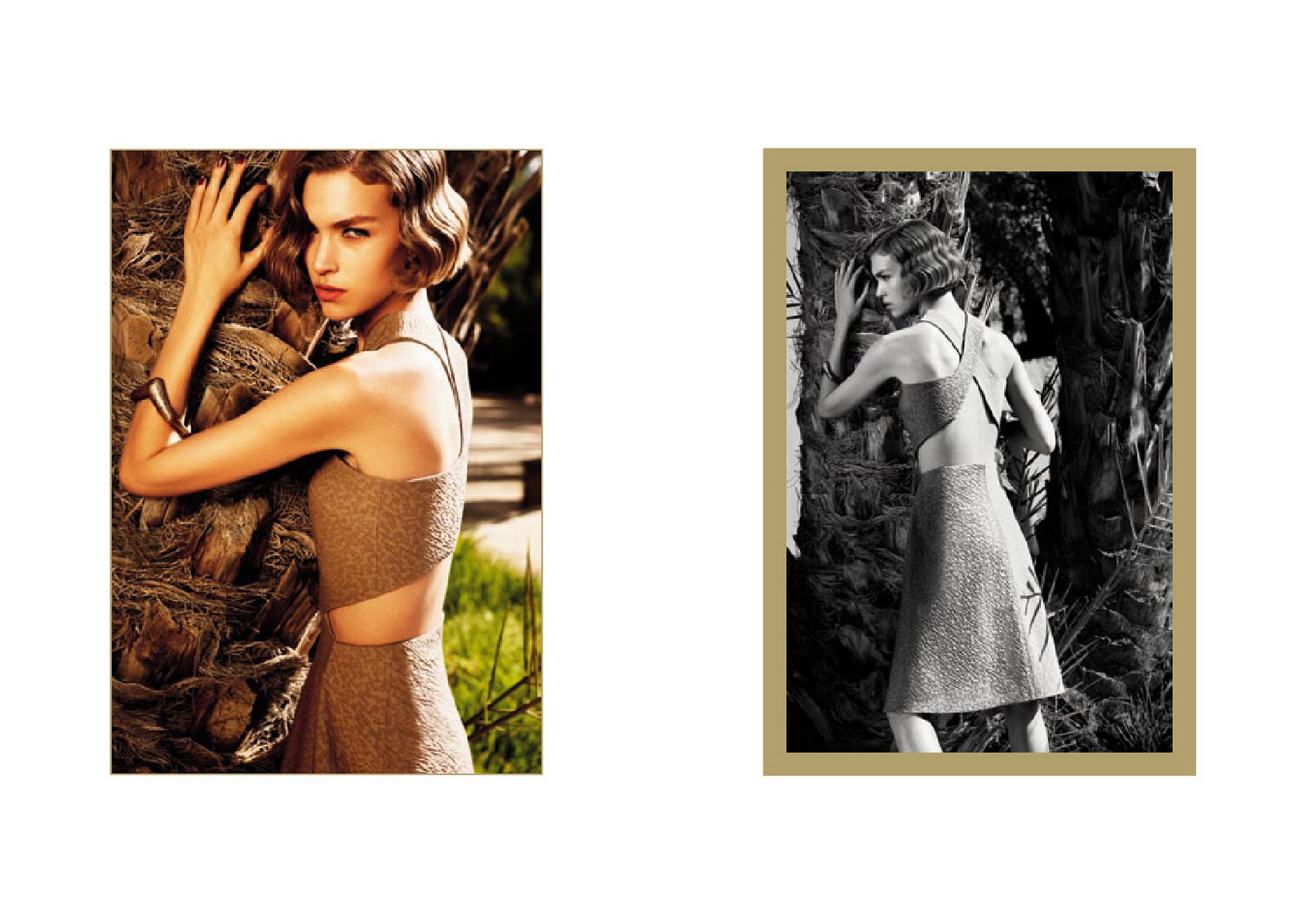 Yves Saint Laurent 2011ďVDƬ