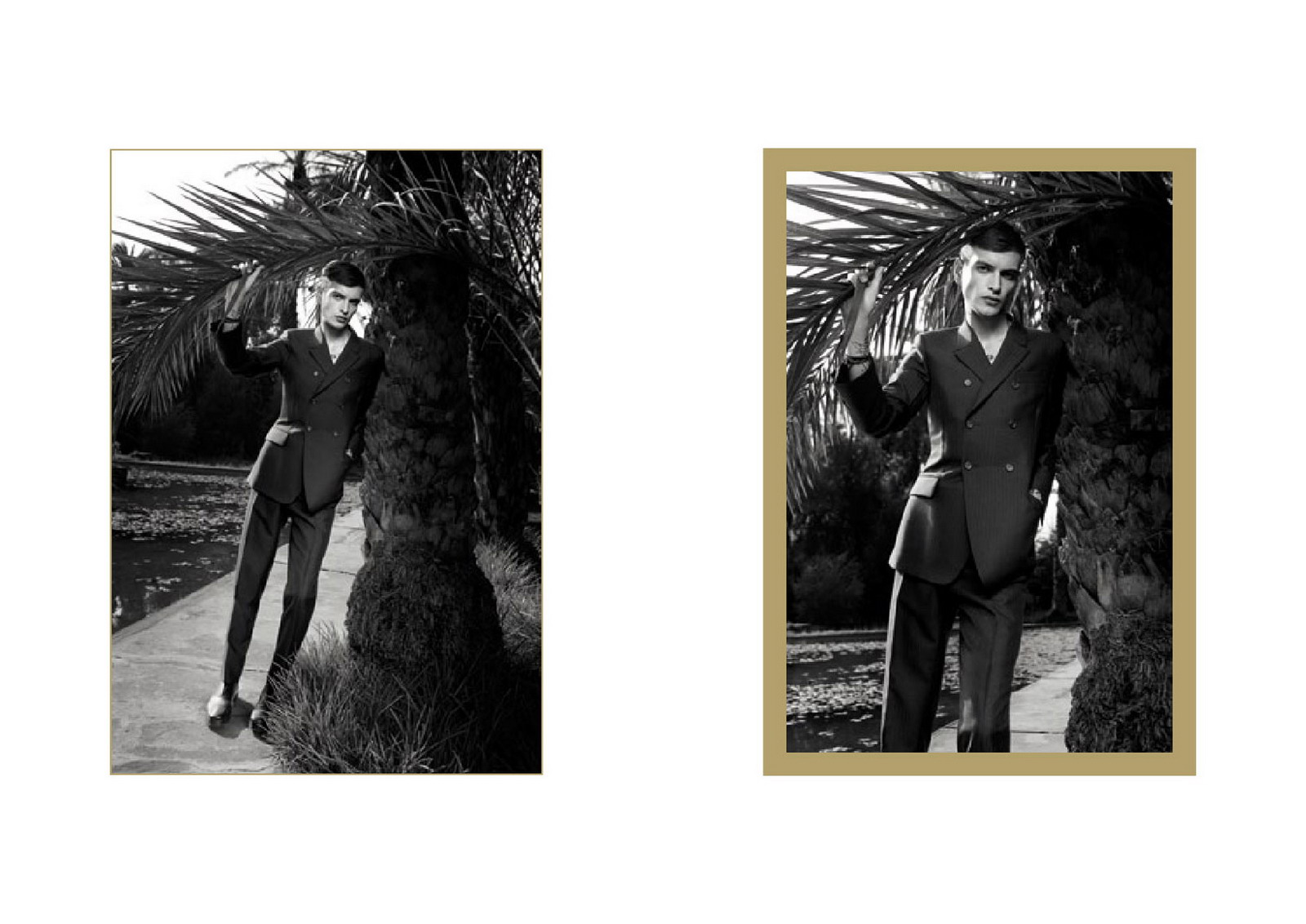 Yves Saint Laurent 2011ďVDƬ