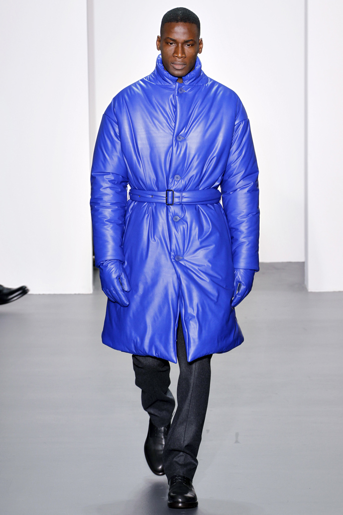 Calvin Klein 2011 ﶬbDƬ