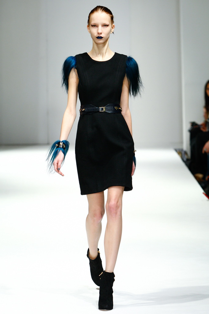 Felder Felder 2011ﶬ¸DƬ