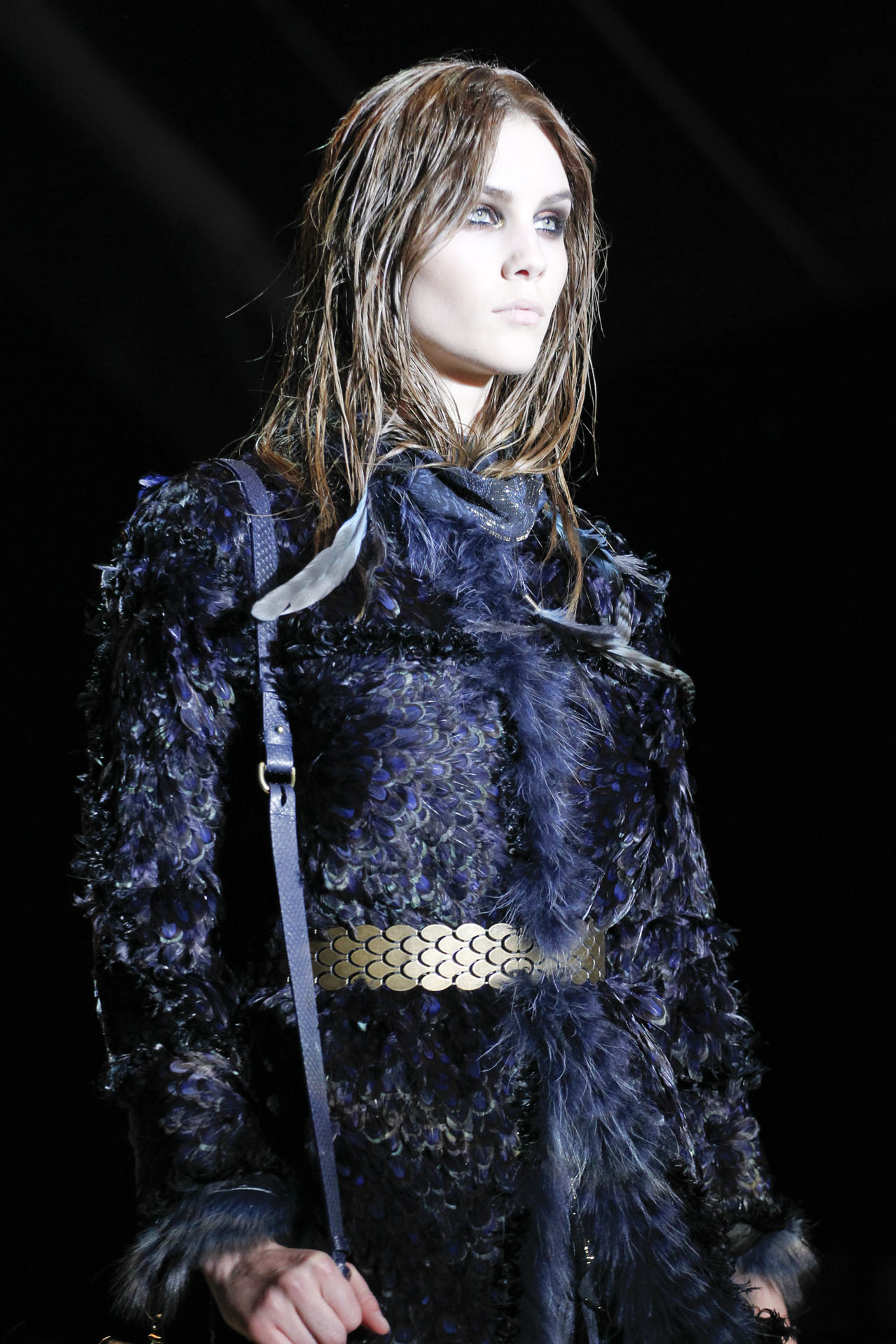 Roberto Cavalli 2011ﶬ(ji)DƬ