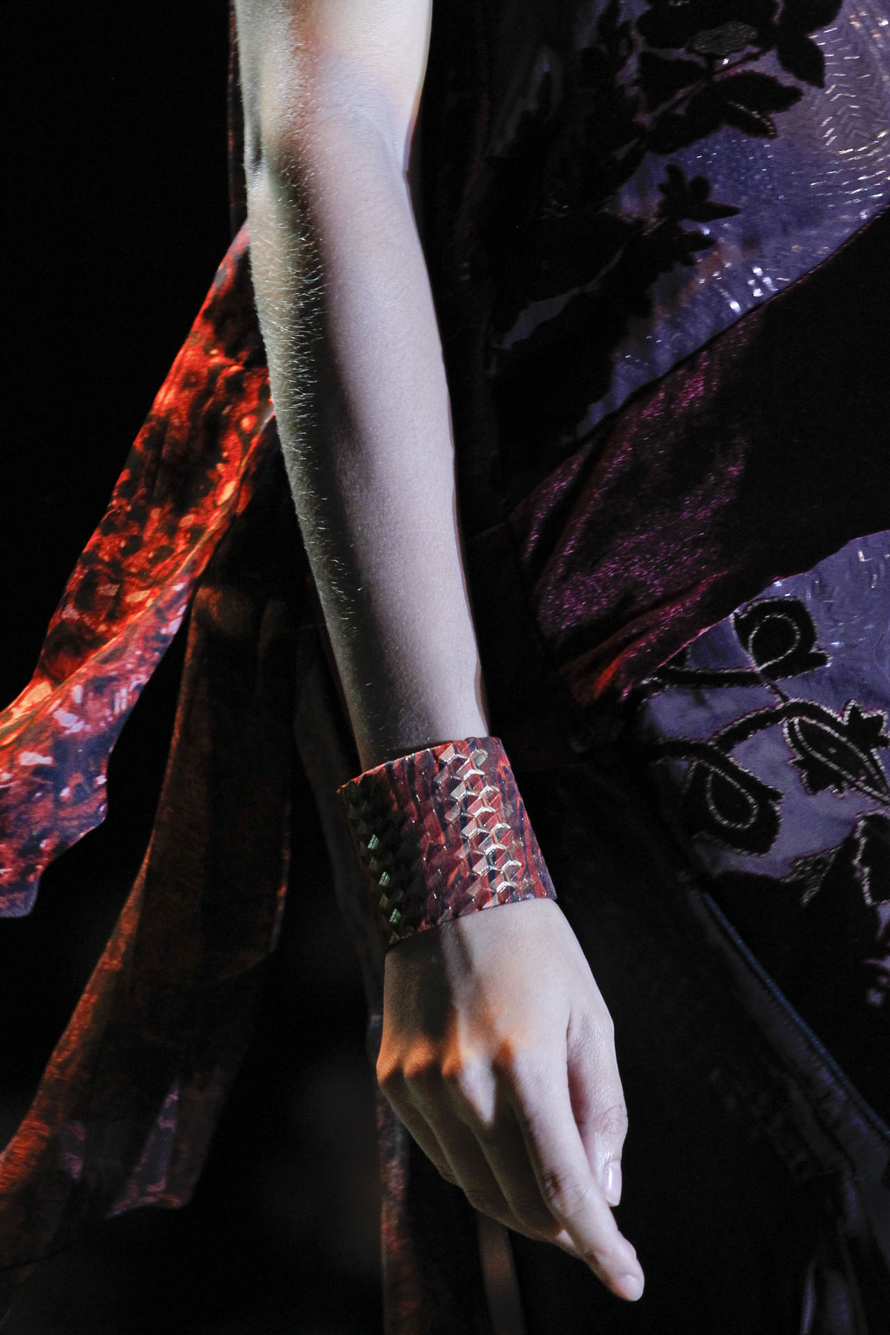 Roberto Cavalli 2011ﶬDƬ