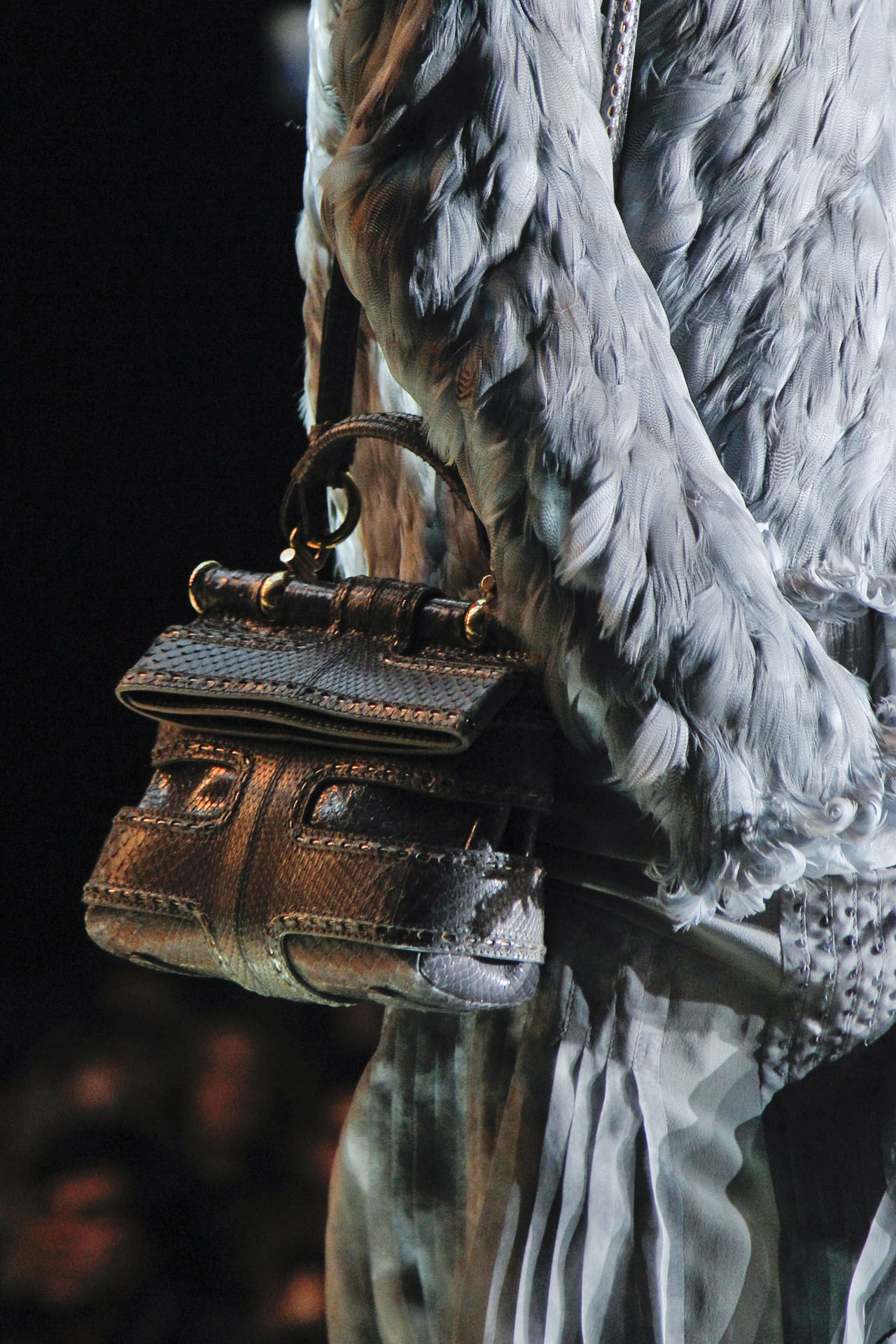 Roberto Cavalli 2011ﶬDƬ