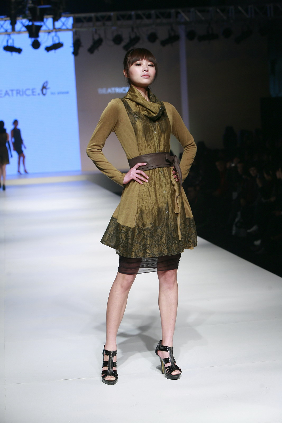 Beatrice B 2011ﶬDƬ