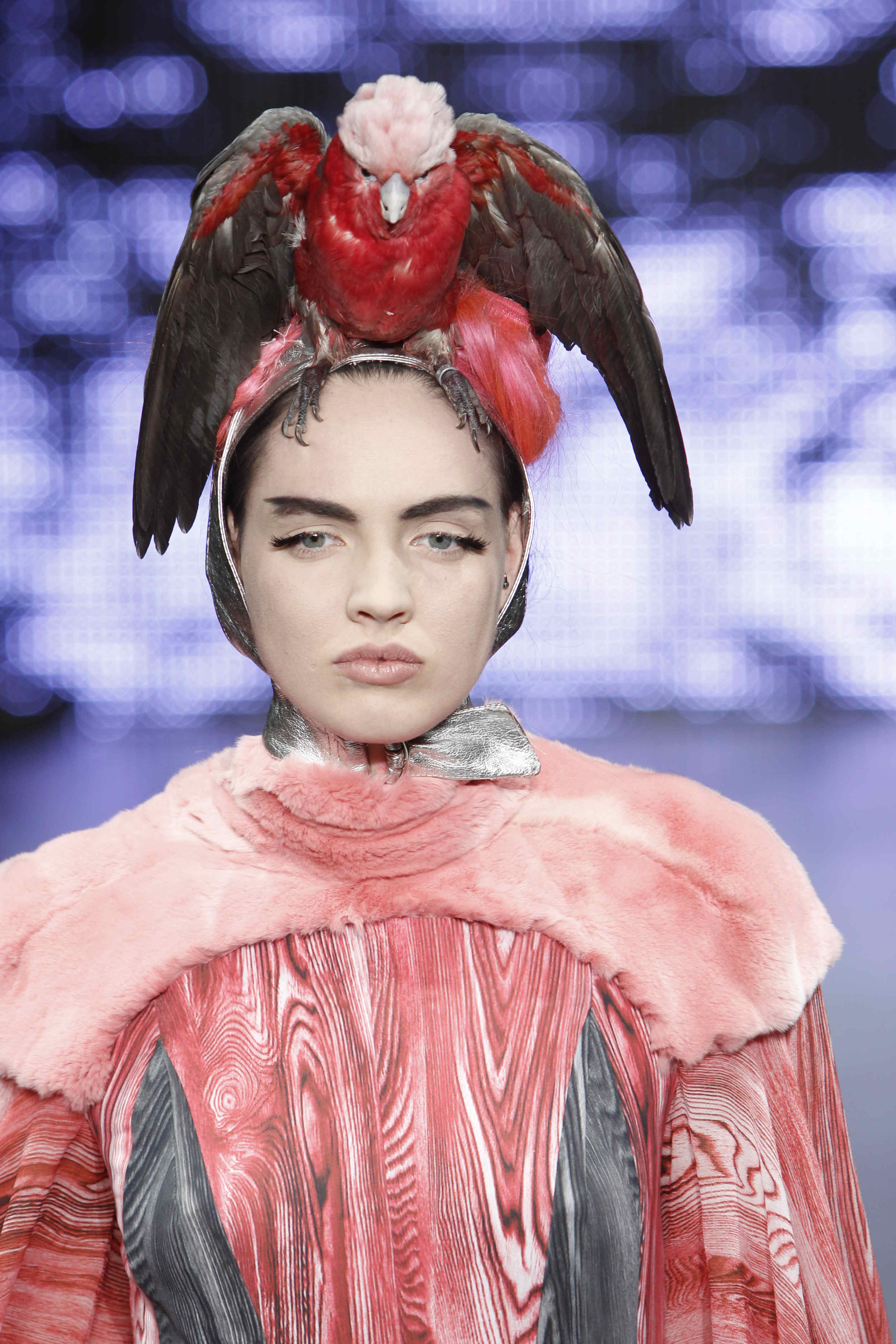 Pam Hogg 2011ﶬŮʿDƬ