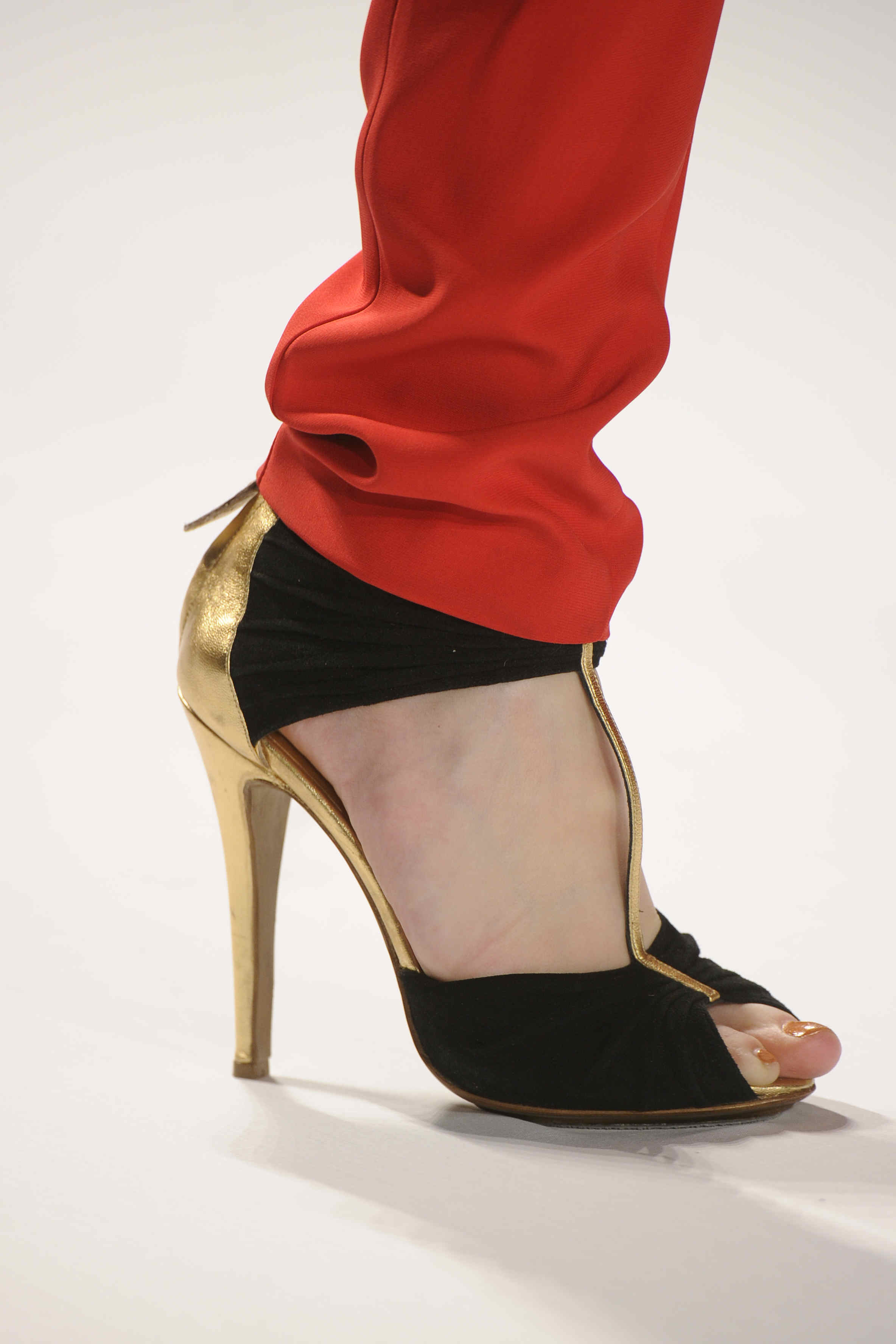 J Mendel 2011ﶬŮʿЬĸDƬ