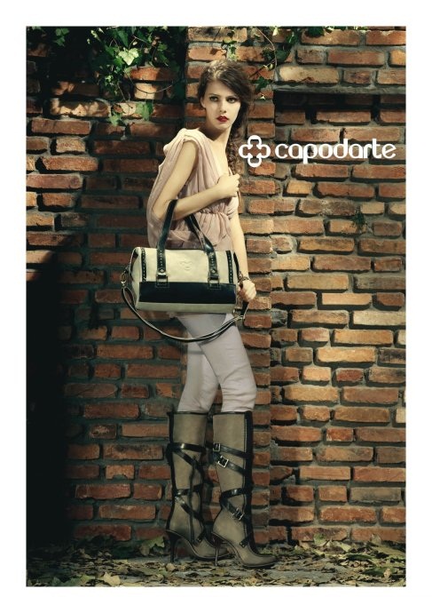 Capodarte 2011ﶬVDƬ