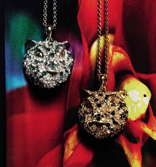 Roberto Cavalli 2011 LookBookDƬ