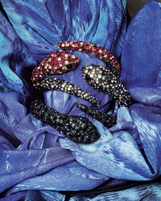 Roberto Cavalli 2011 LookBookDƬ