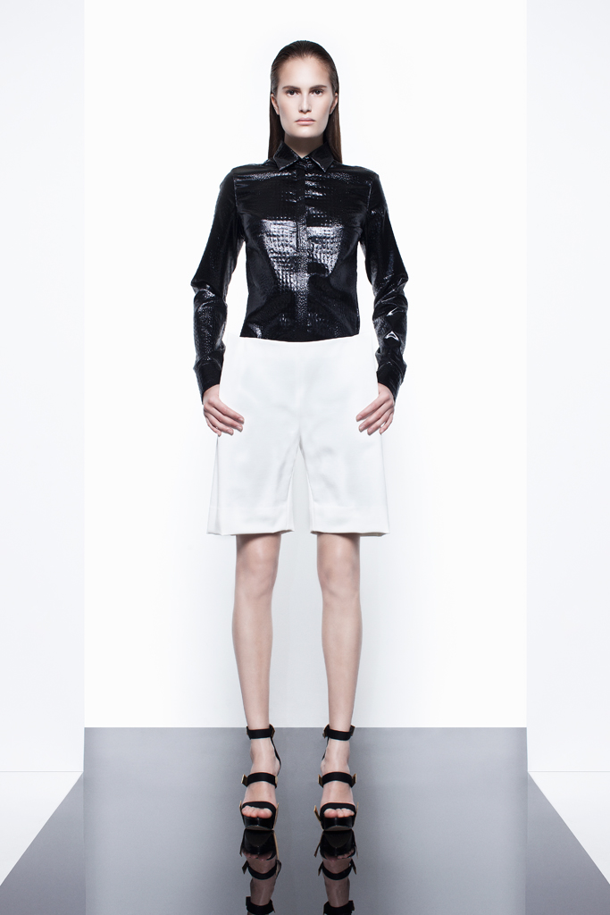 Cushnie et Ochs 2012紺ϵиDƬ