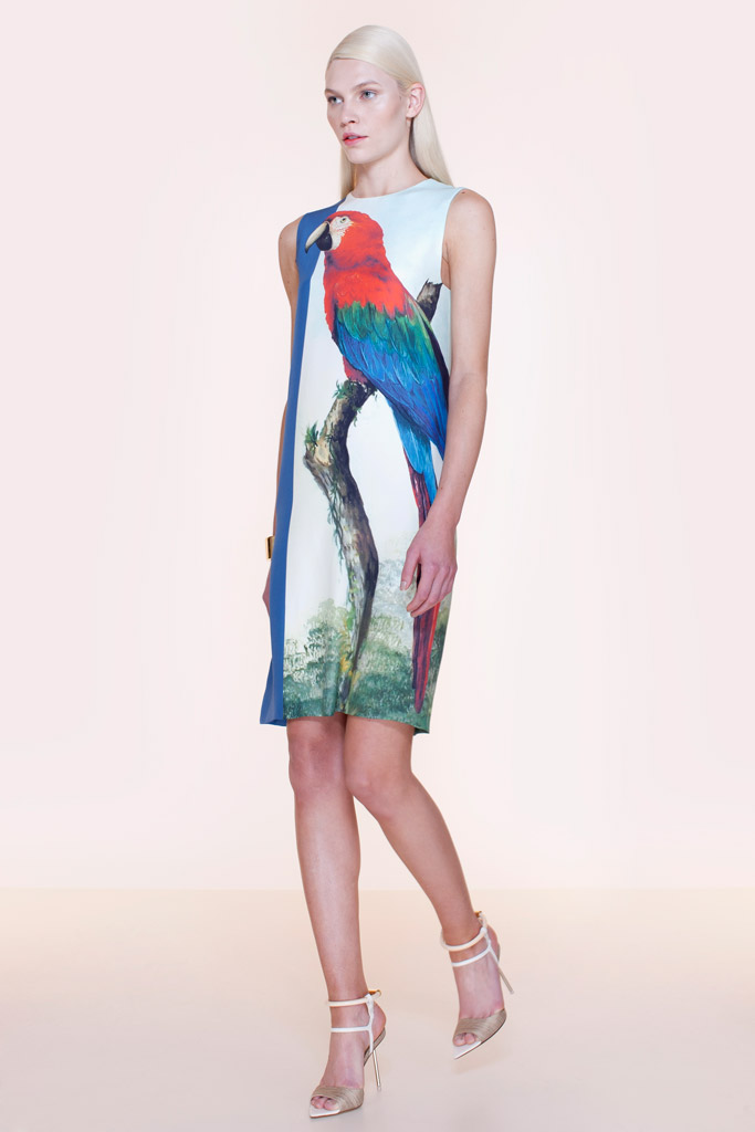 Pedro Lourenco 2012紺ϵиDƬ