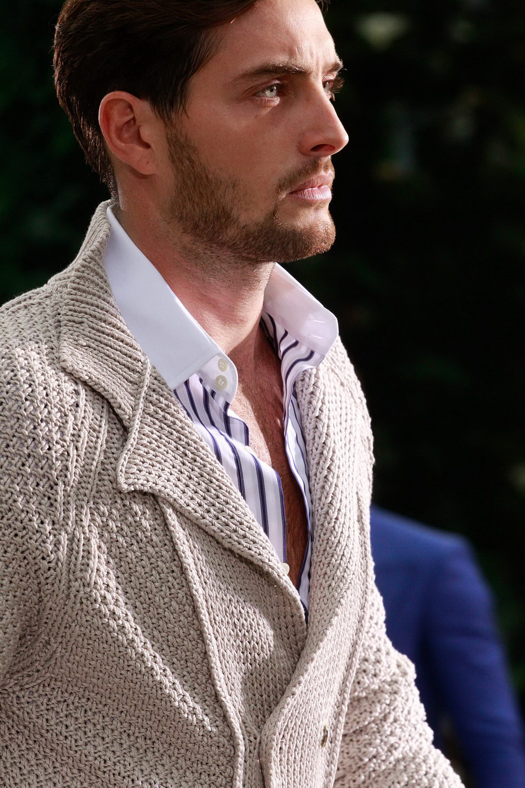 Roberto Cavalli 2012bDƬ