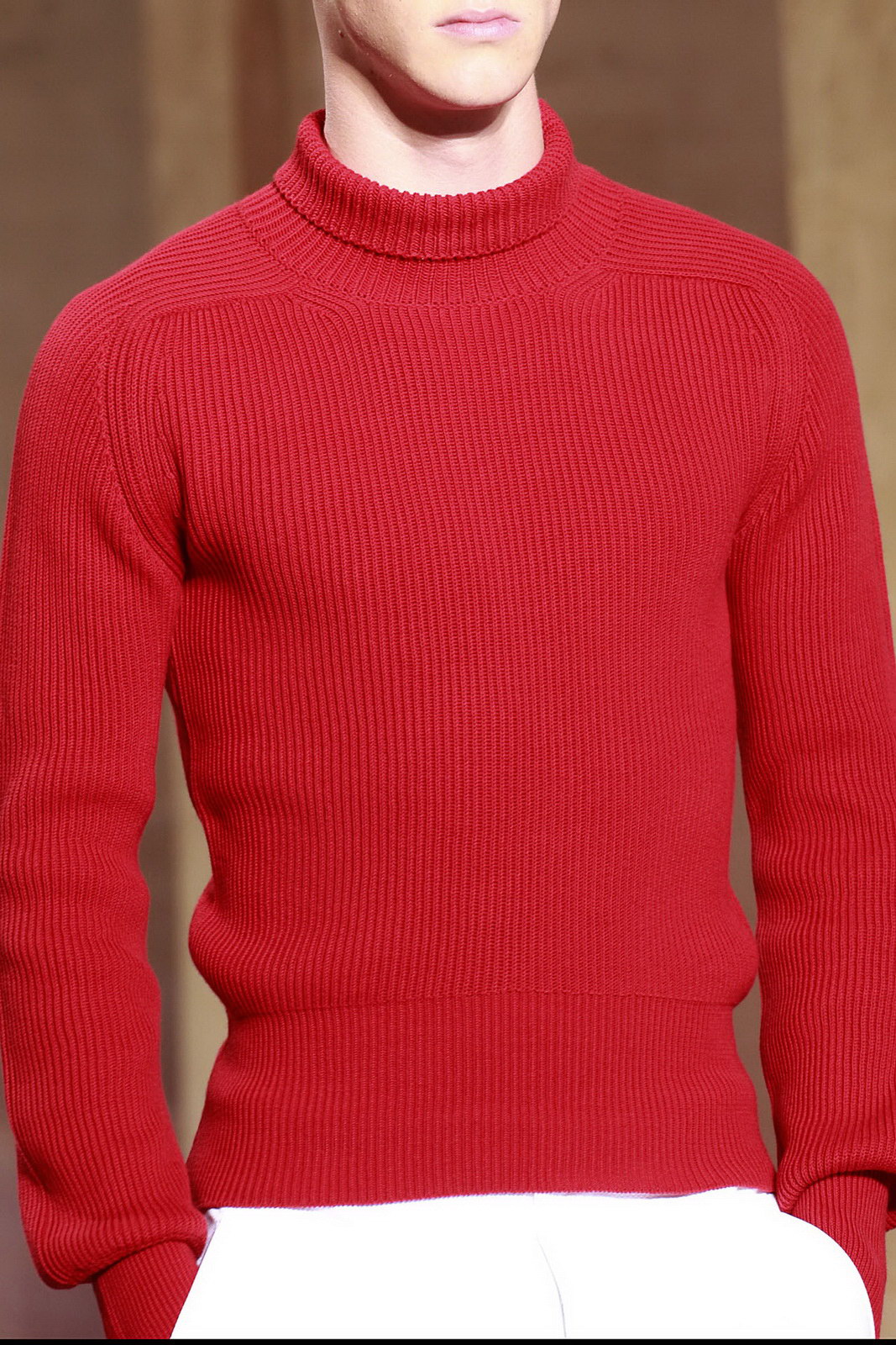 Acne 2012bDƬ
