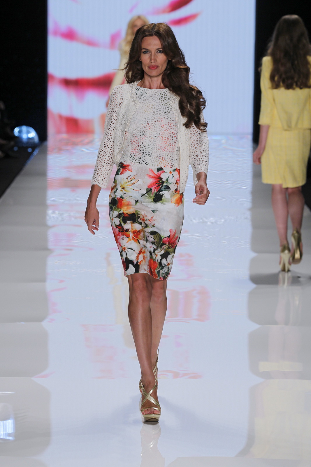Basler 2012DƬ
