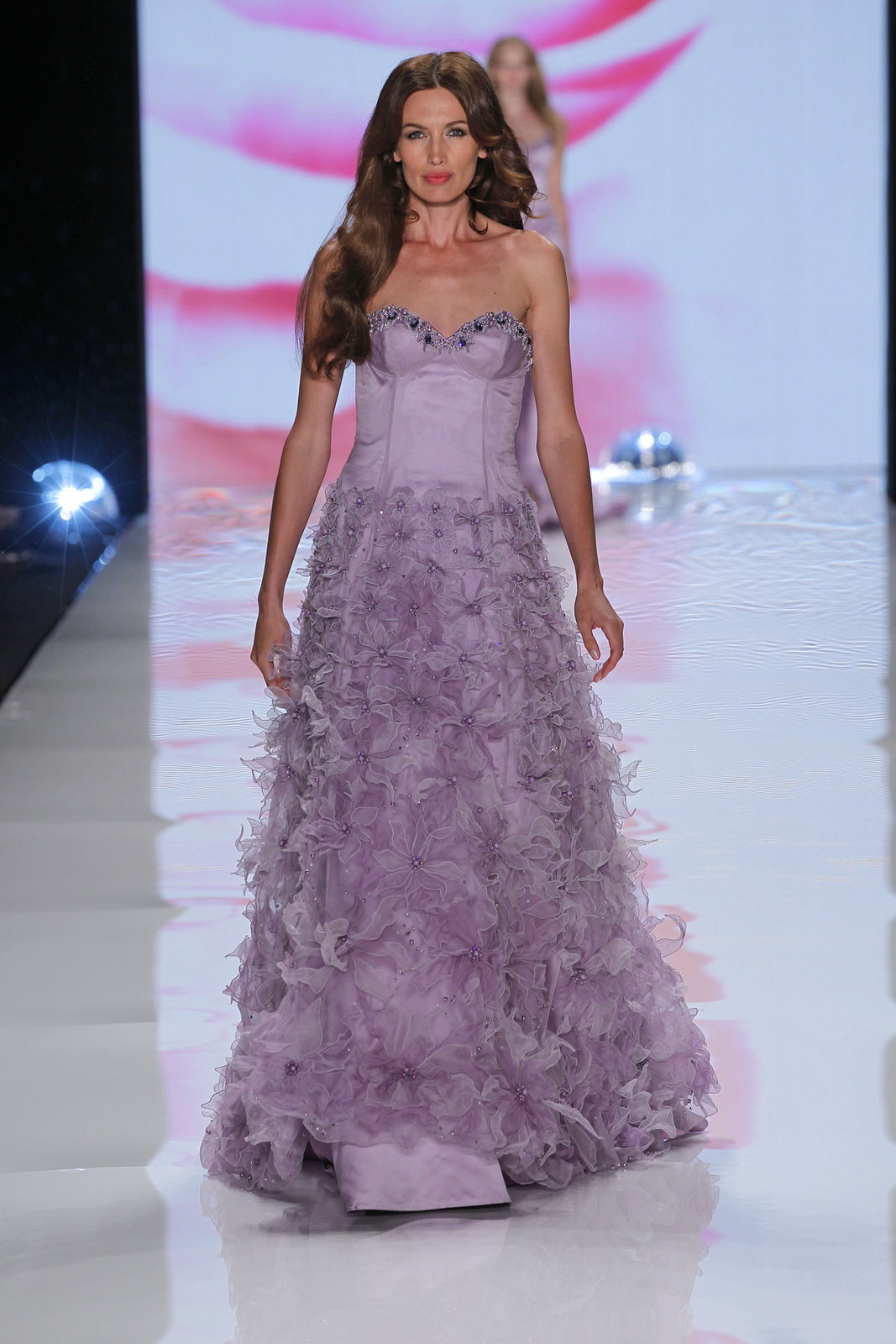 Basler 2012DƬ