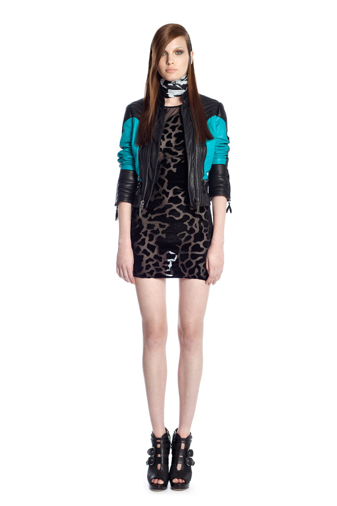 Just Cavalli 2012紺ɼϵиDƬ