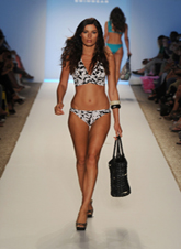 Zingara  2012~ӾbDƬ