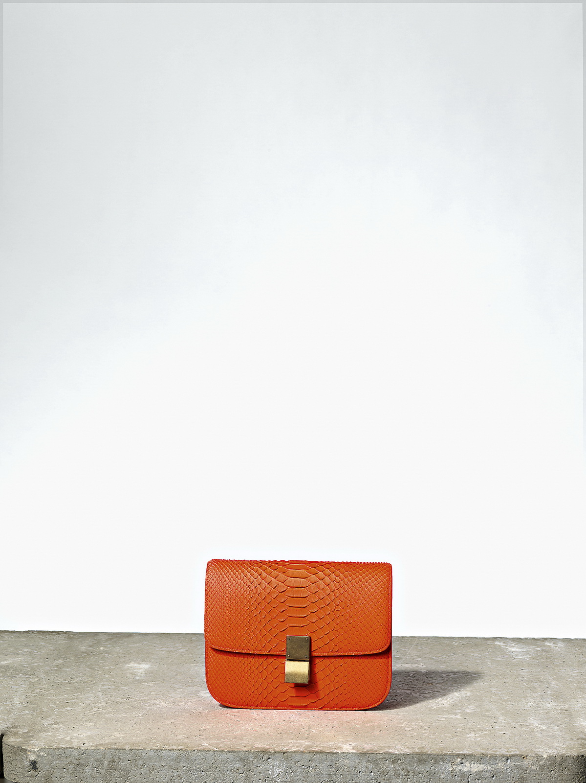 Celine 2011lookbook DƬ