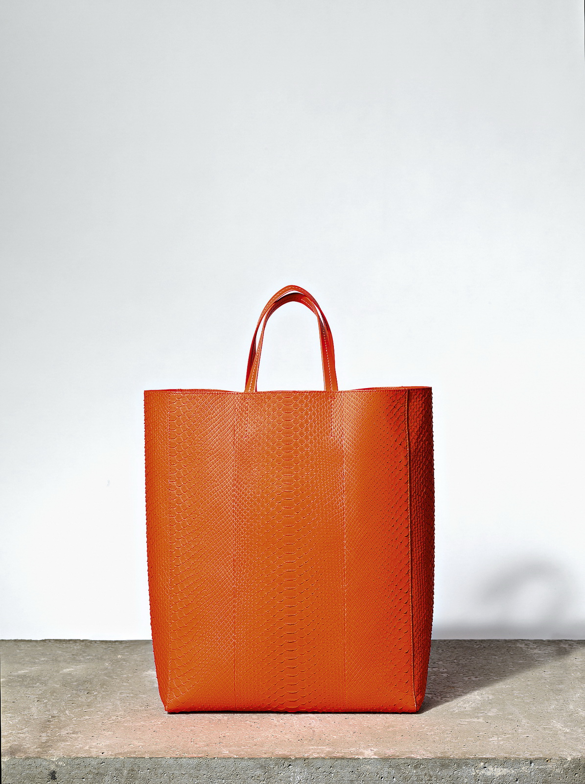 Celine 2011lookbook DƬ