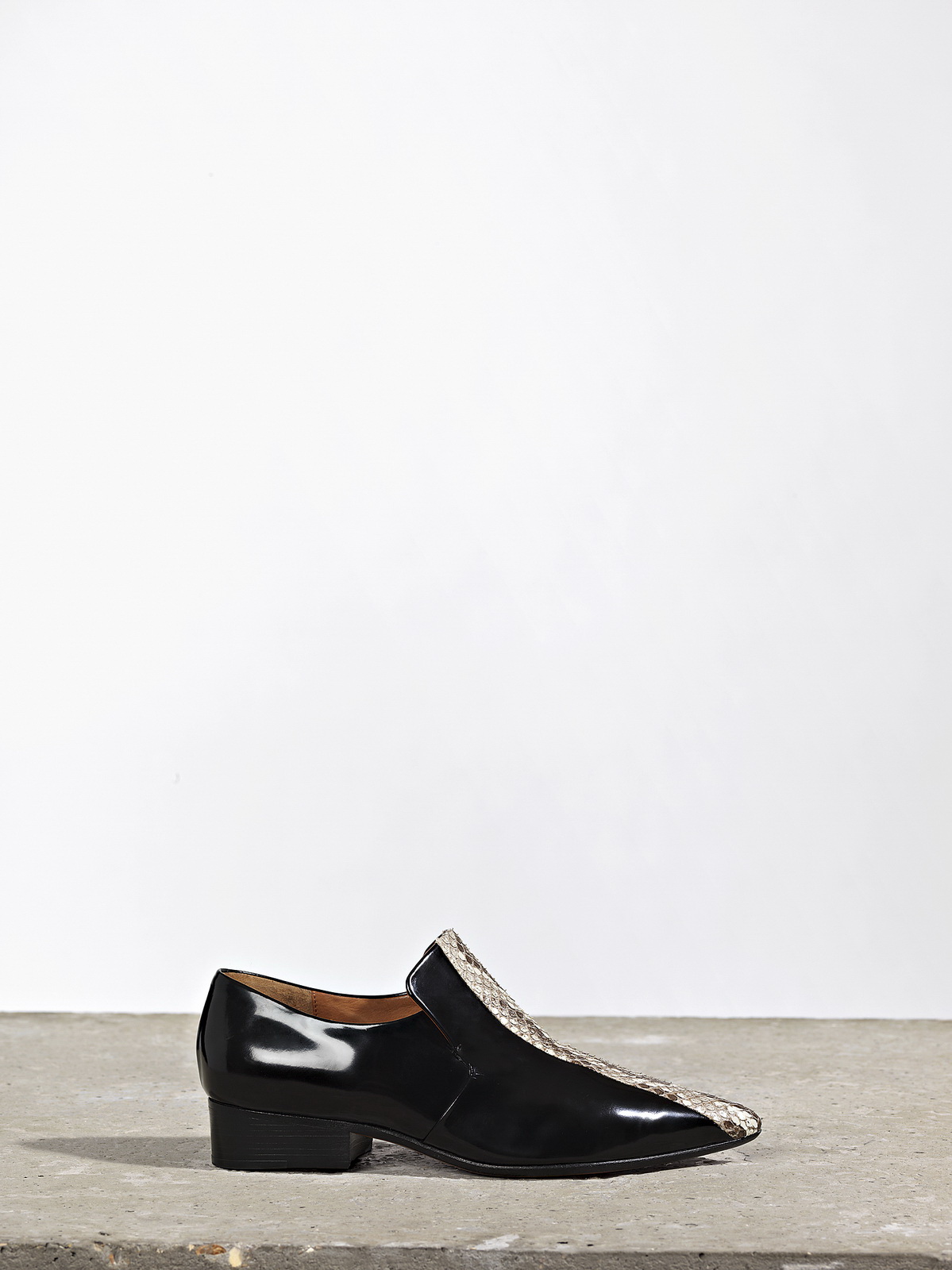 Celine 2011lookbook DƬ