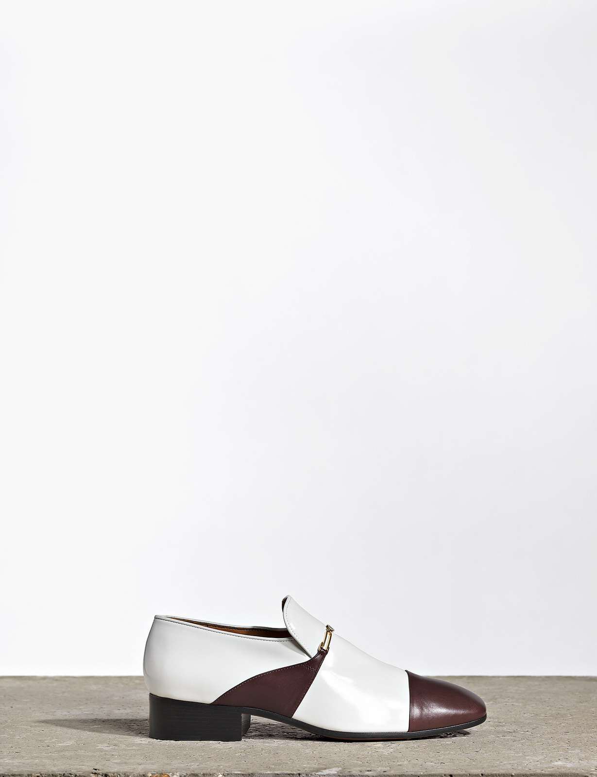 Celine 2011lookbook DƬ