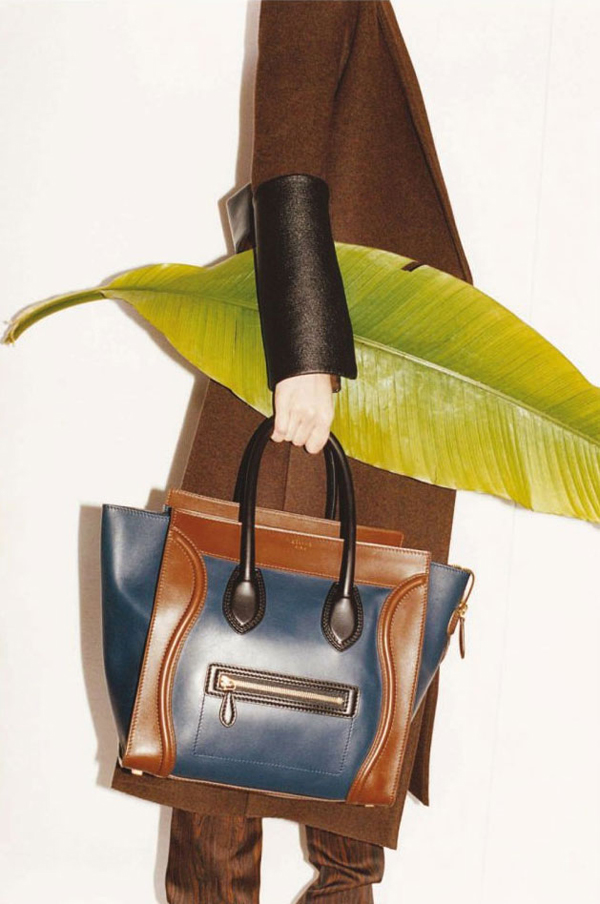 Celine 2011ﶬV DƬ