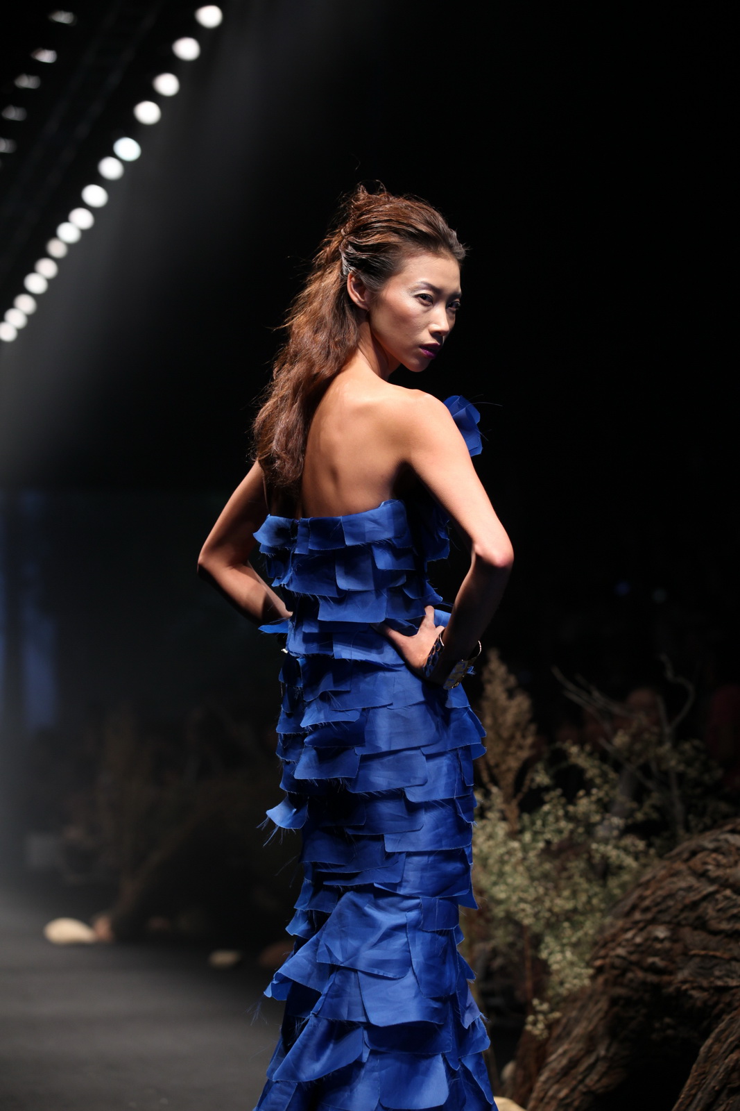 Judy Hua 2012 DƬ