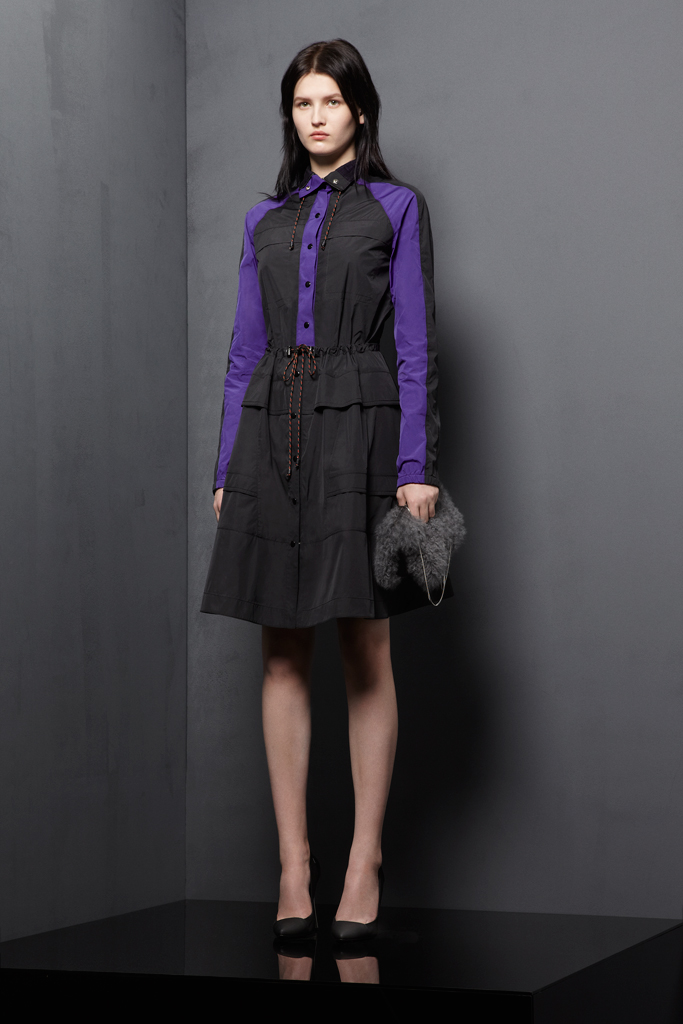 Proenza Schouler 2012ϵ DƬ