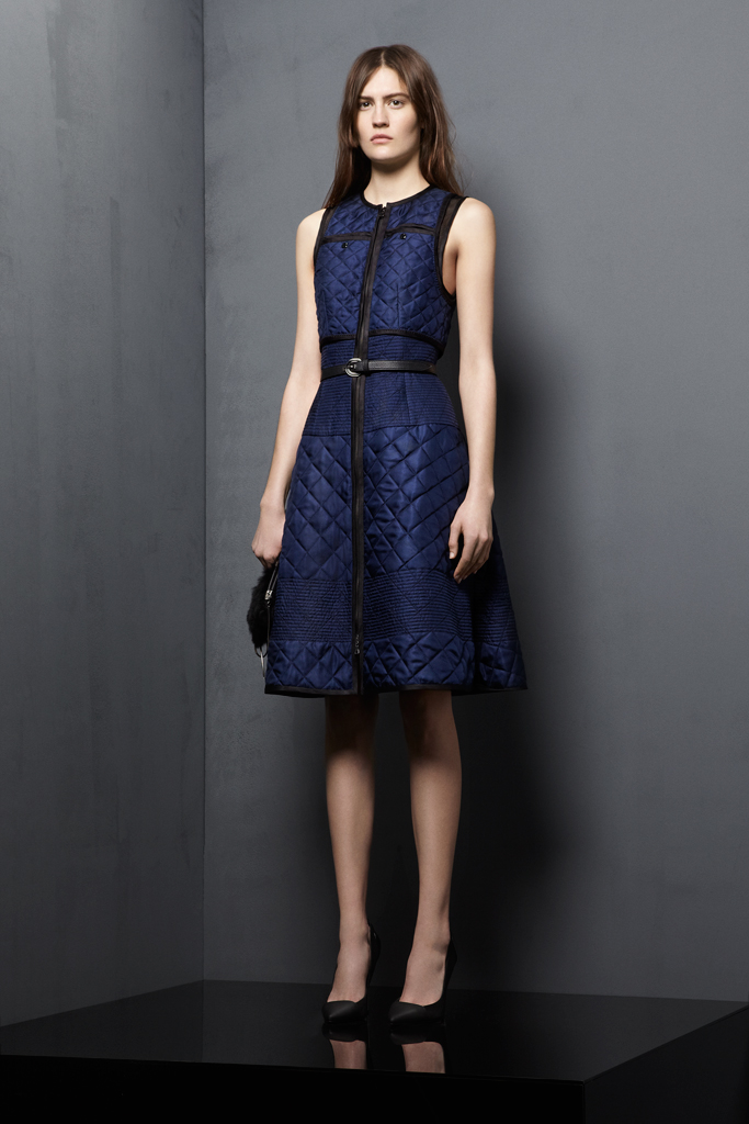 Proenza Schouler 2012ϵ DƬ
