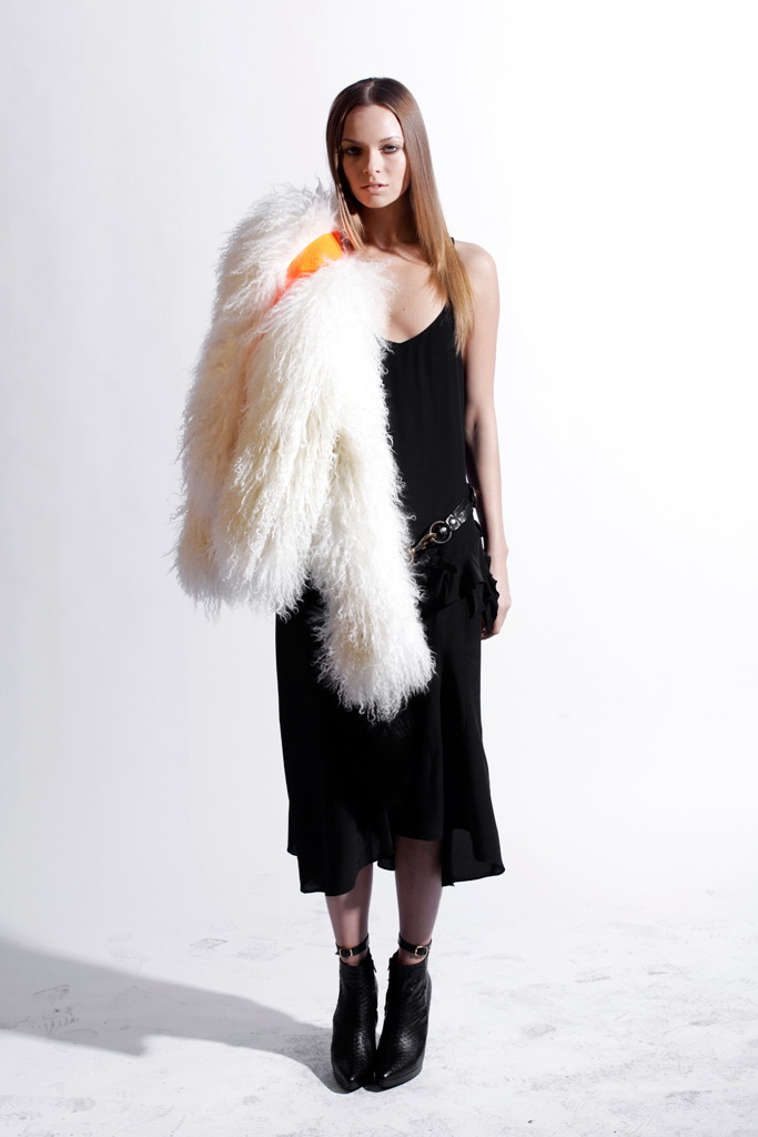 Skaist-Taylor 2012ﶬ¸DƬ