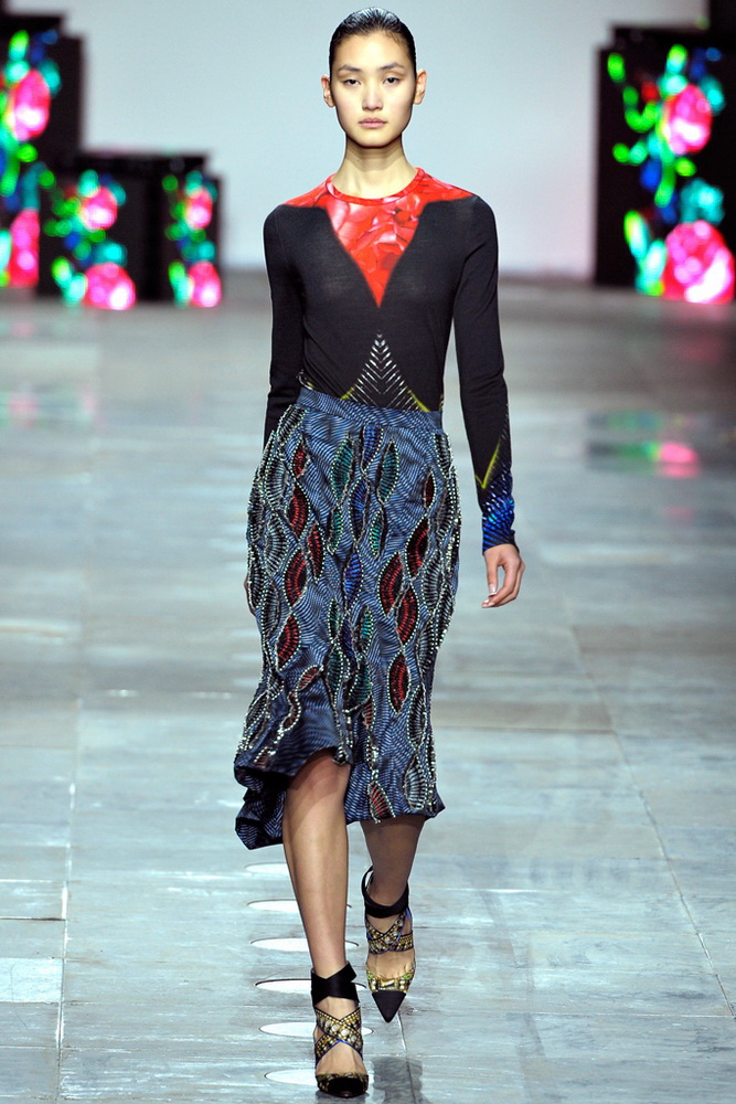 Peter Pilotto 2012ﶬ¸DƬ