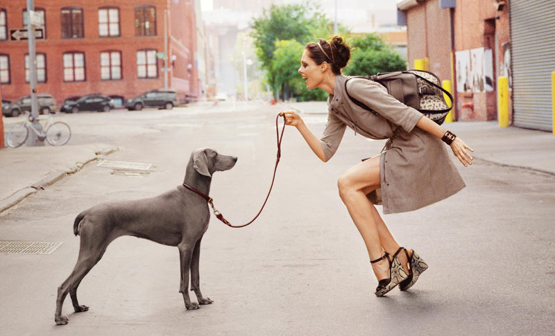 Longchamp 2012ϵЏV DƬ