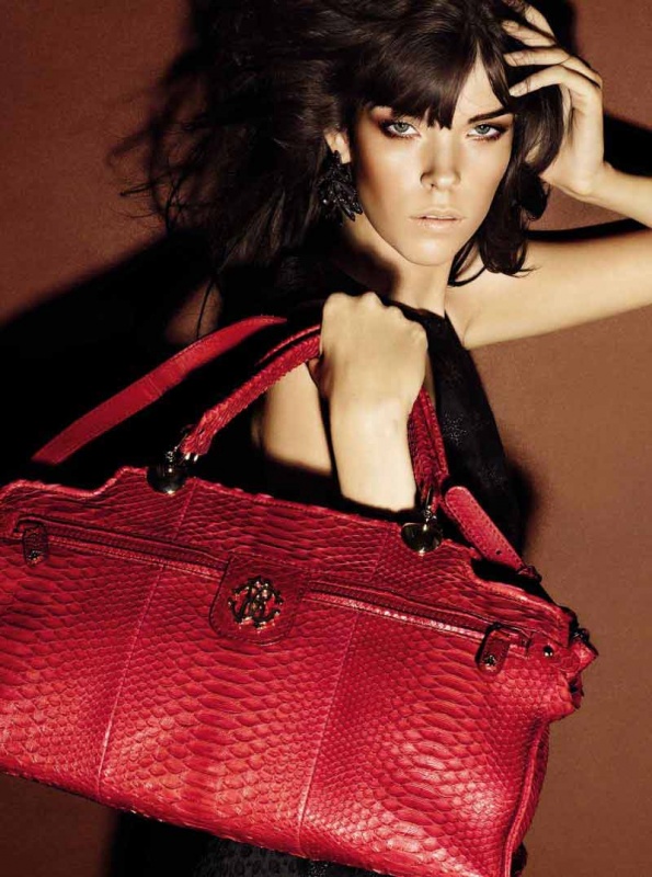 Roberto Cavalli 2012ϵ LookBook DƬ