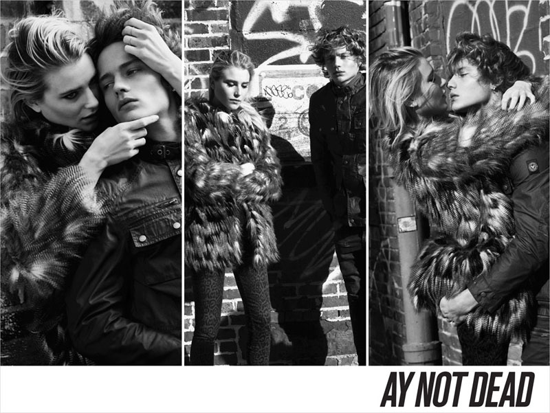 AY Not Dead 2012＾V DƬ