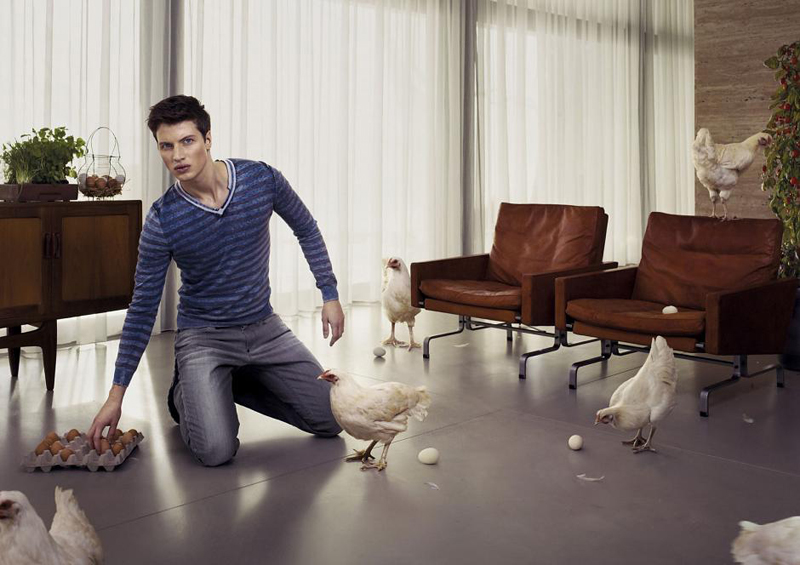 Sisley 2012ďV DƬ