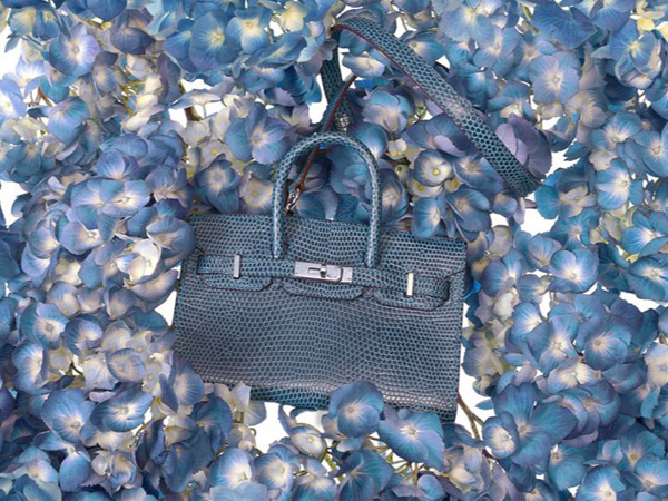 Hermes Tiny ִϵLookbook DƬ
