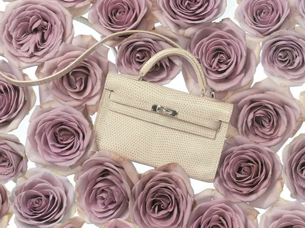Hermes Tiny ִϵLookbook DƬ
