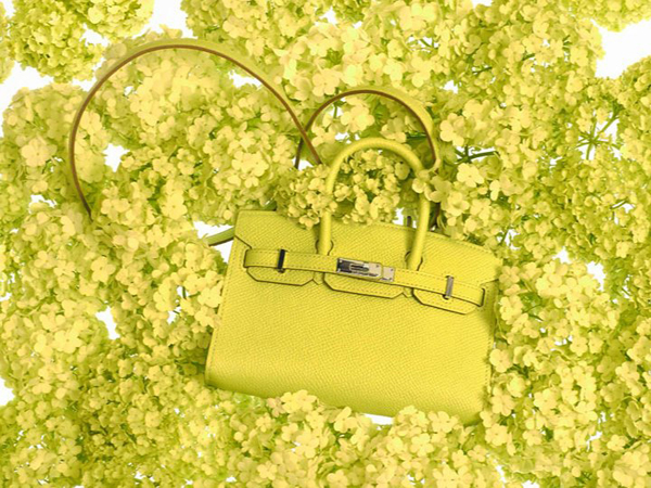 Hermes Tiny ִϵLookbook DƬ