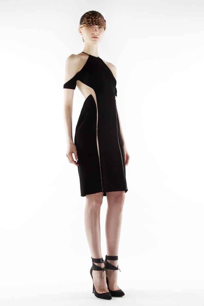 Dion Lee 2012ﶬLookbook DƬ