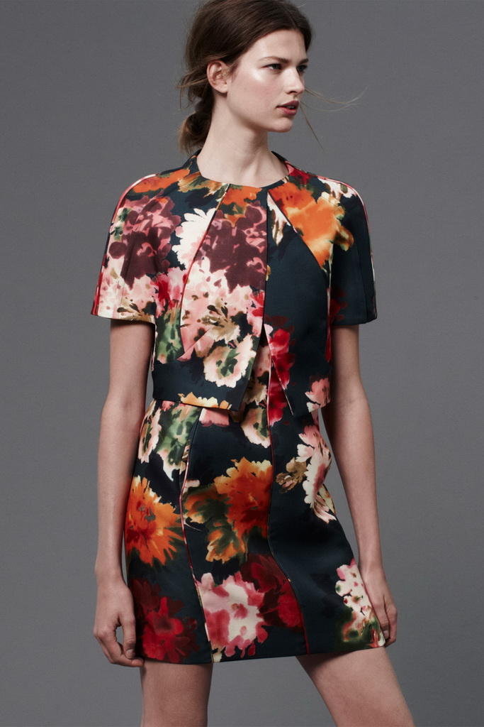 J Mendel 13紺DƬ