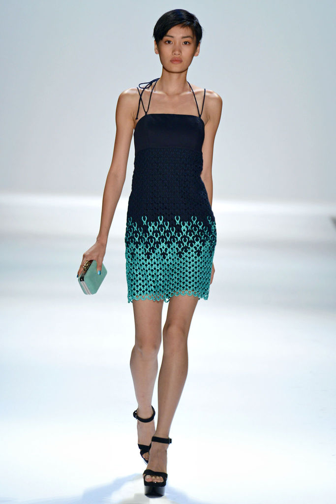 Charlotte Ronson 2013DƬ