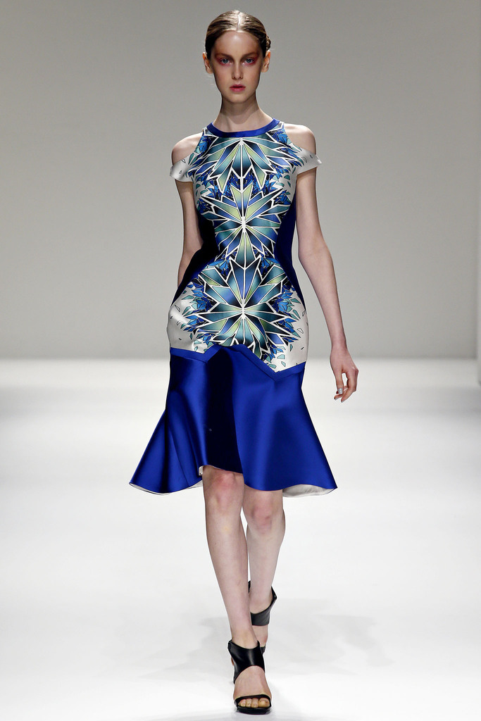Bibhu Mohapatra 2013DƬ