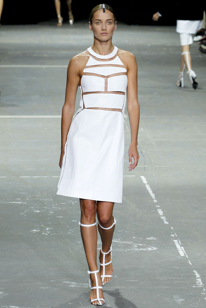 Alexander Wang 2013DƬ