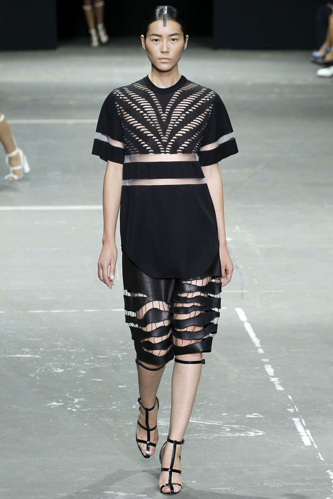 Alexander Wang 2013DƬ