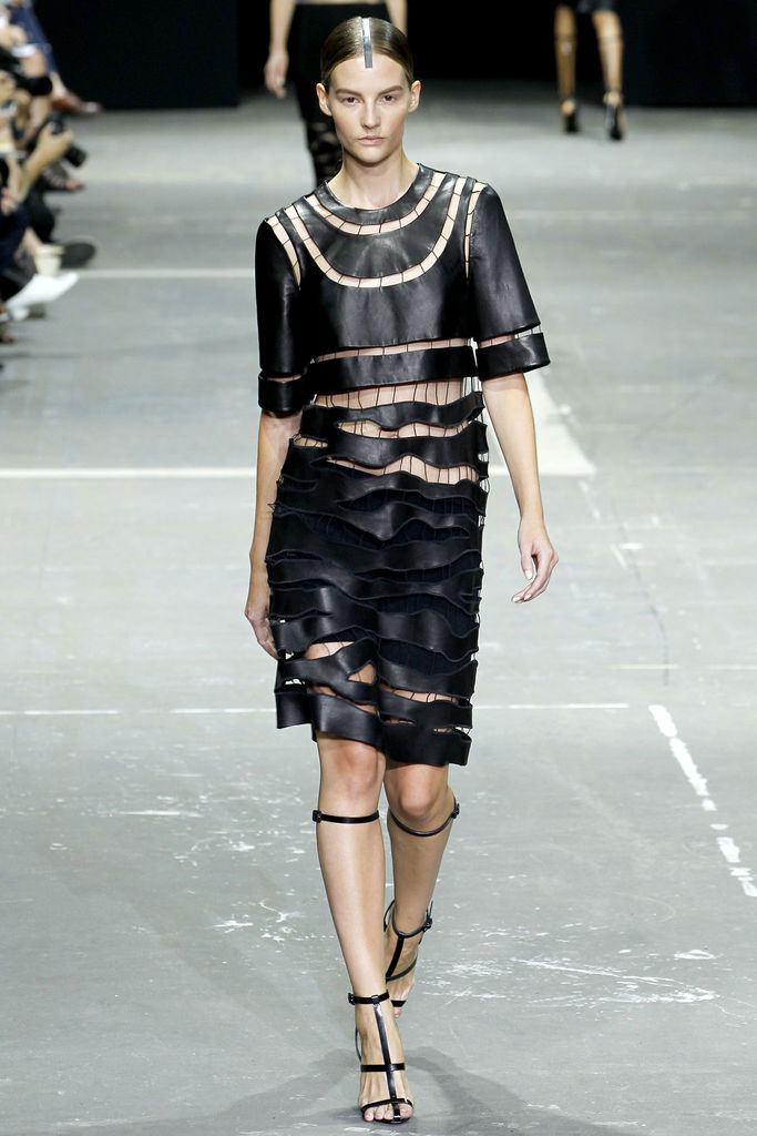 Alexander Wang 2013DƬ