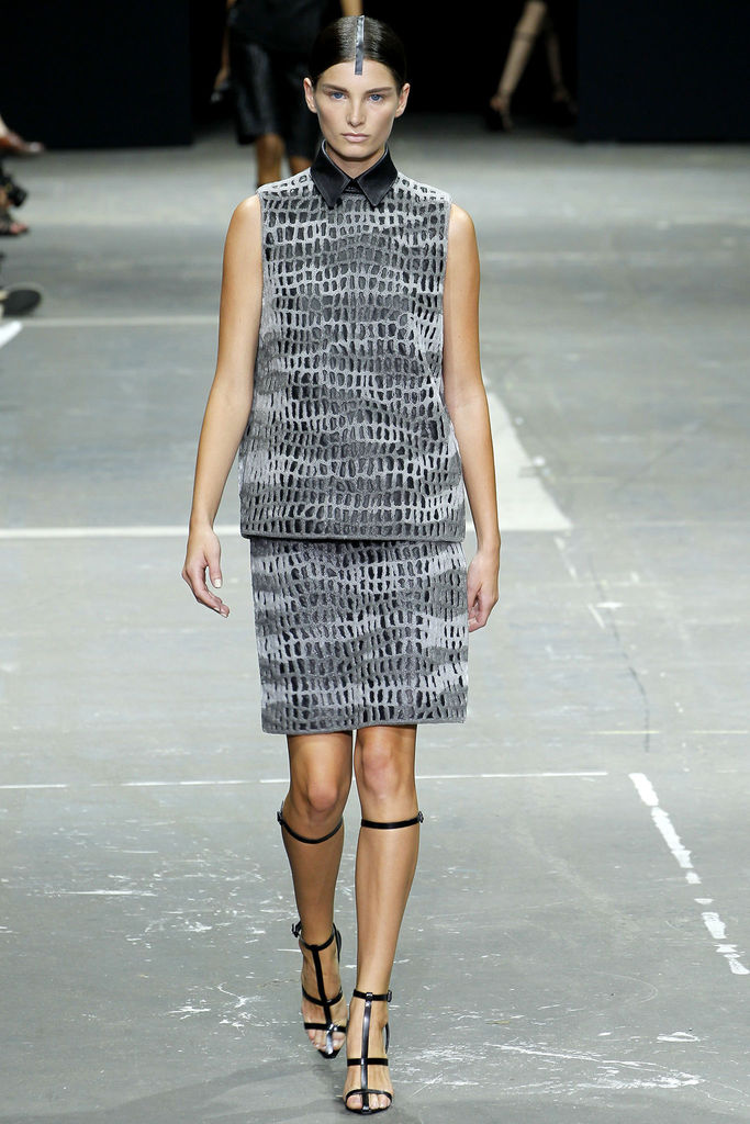 Alexander Wang 2013DƬ