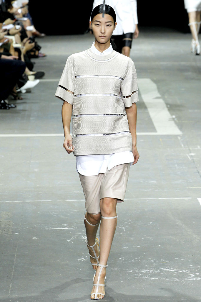 Alexander Wang 2013DƬ