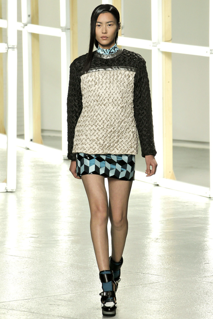 Rodarte 2013DƬ