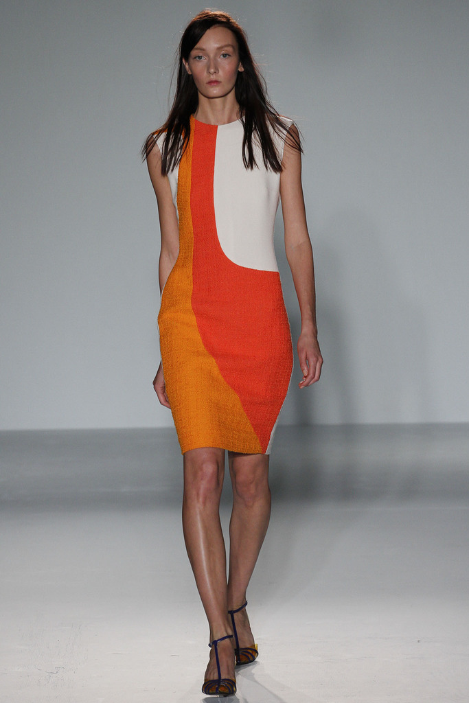 Roksanda Ilincic 2013DƬ