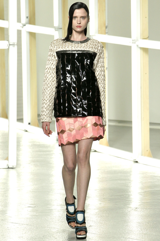 Rodarte 2013DƬ